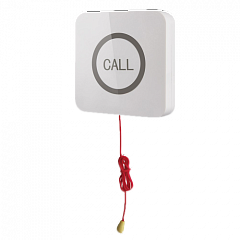 Кнопка вызова iBells 310S влагозащищенная со шнуром для МГН в Шахтах